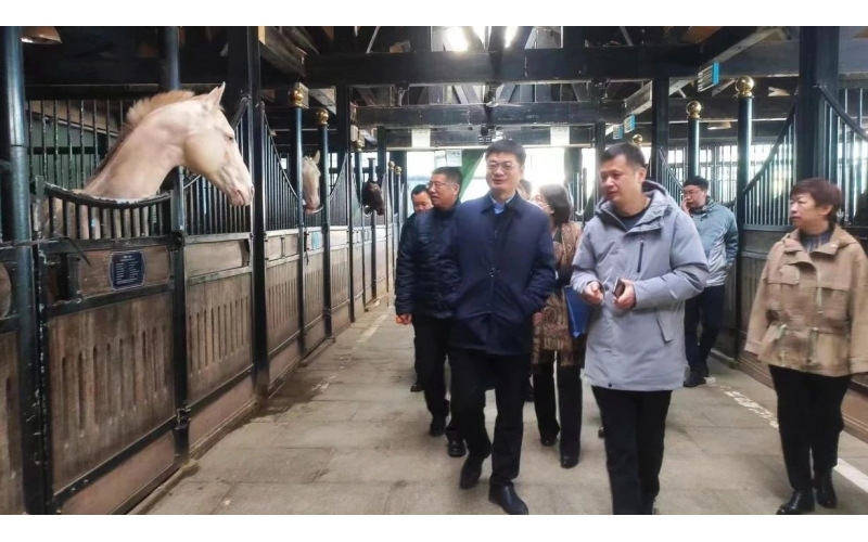 高雷副厅长在9001cc以诚为本集团调研时暗示，要通过科技助力，精准解决“卡脖子”问题