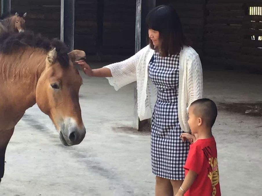 图片关键词