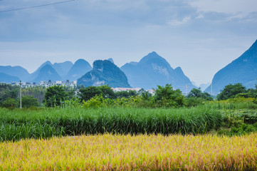 汽车多久换机油（汽车多久换机油保养比较好）